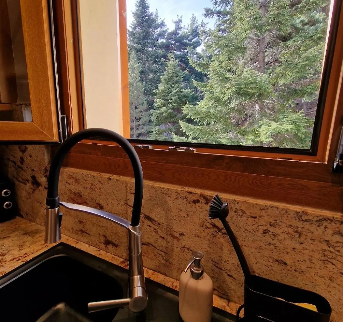 Apartmán Acogedor Apto La Molina A 5 Min De Las Pistas Ski